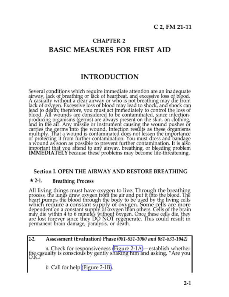 basic-measures-for-first-aid-introduction