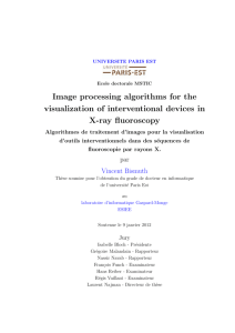 Image processing algorithms for the visualization of