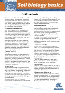 Soil bacteria - NSW Department of Primary Industries
