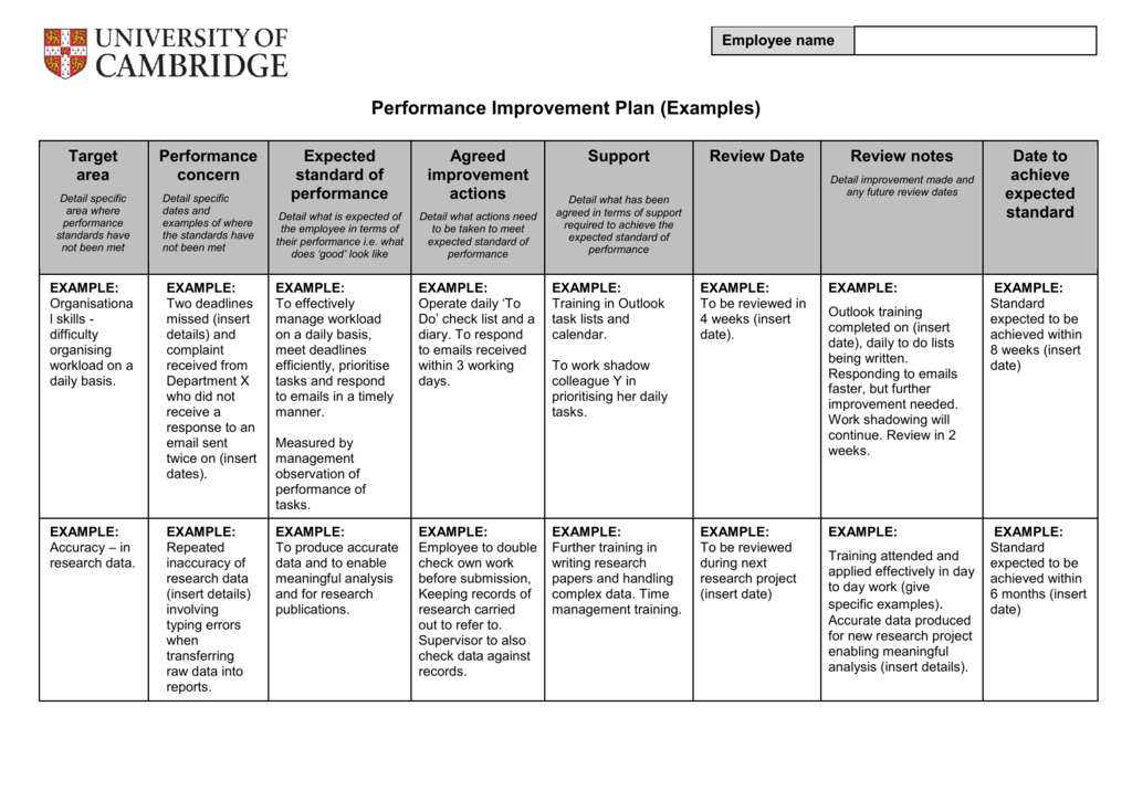 Performance details. Перфоманс Импрувмент план это. Перфоманс импровемент план. Improvement Plan. Project Plan example.