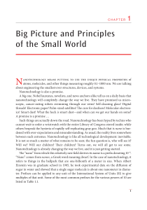 Big Picture and Principles of the Small World