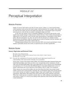 Perceptual Interpretation