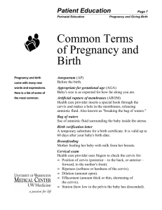 Common Terms of Pregnancy and Birth