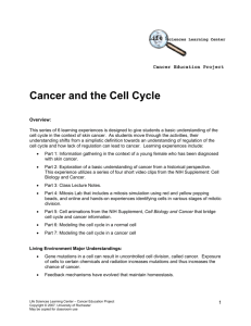Cancer and the Cell Cycle Handout