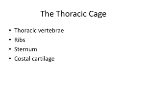 The Thoracic Cage