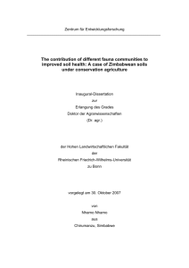 The contribution of different fauna communities to improved soil