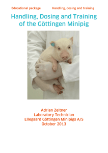 Handling, Dosing and Training of the Göttingen Minipig