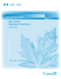 Key Small Business Statistics - July 2012