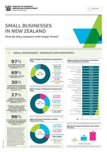 SMALL BUSINESSES IN NEW ZEALAND