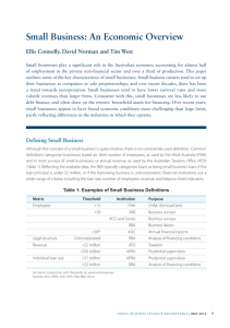 Small Business: An Economic Overview