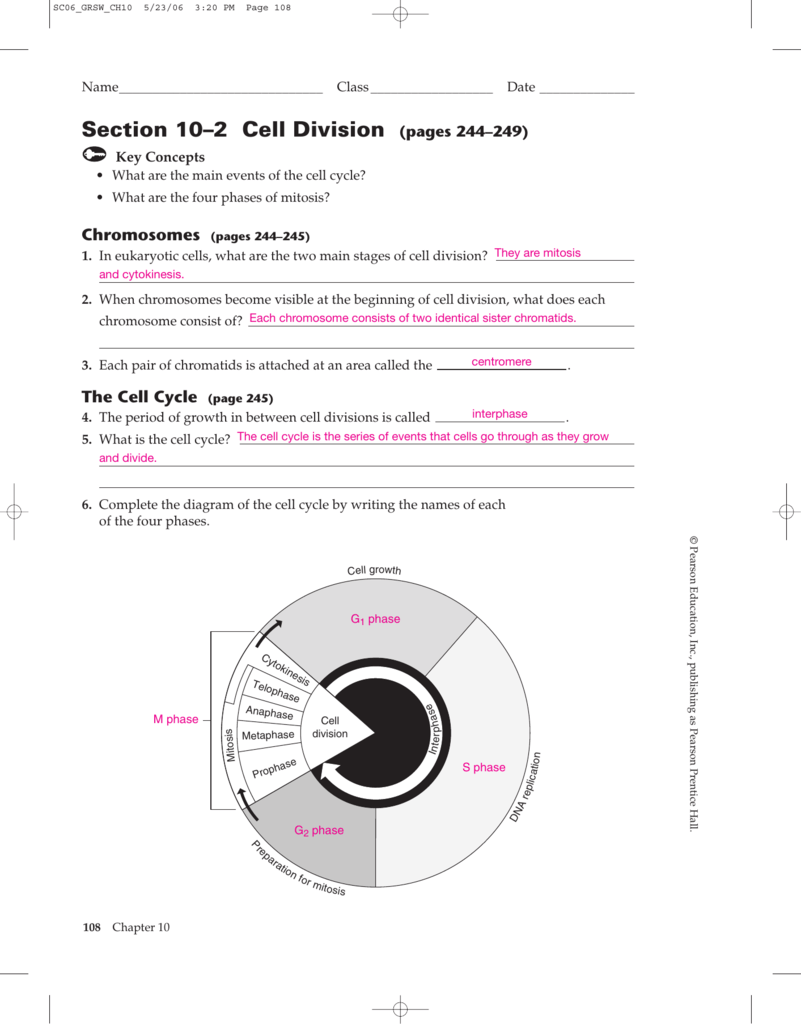 Section 10 2 Cell Division Pages 244 249