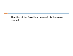 Question of the Day: How does cell division cause cancer?