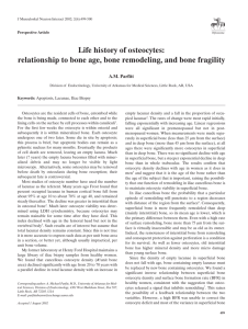 Life history of osteocytes: relationship to bone age, bone remodeling