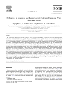 Differences in osteocyte and lacunar density between Black and