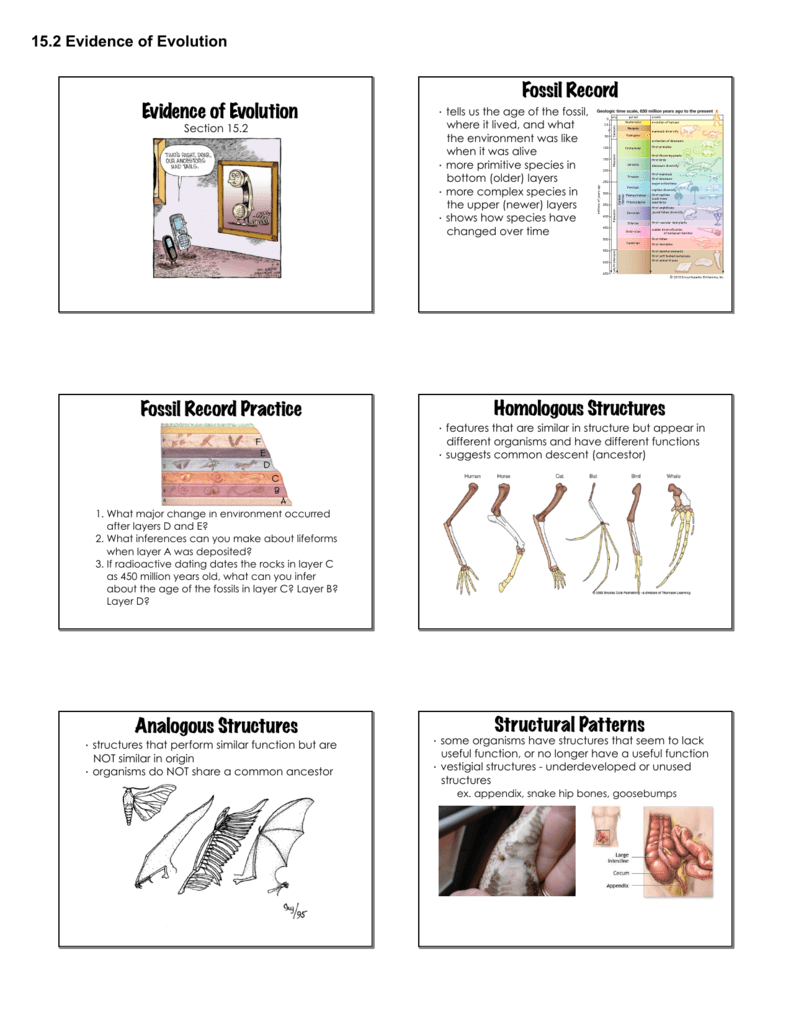 Evidence of Evolution Fossil Record Fossil Record Practice