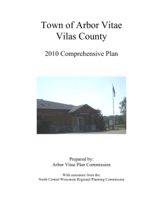 Town of Arbor Vitae Comprehensive Plan