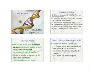 DNA & RNA Learning Goals Nucleic Acids • DNA and RNA are