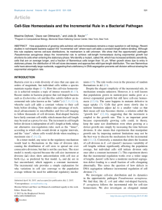 Cell-Size Homeostasis and the Incremental Rule in a Bacterial