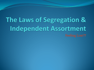 The Laws of Segregation & Independent Assortment
