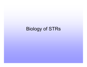 Biology of STRs