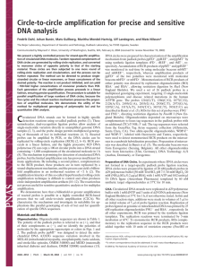 Circle-to-circle amplification for precise and sensitive DNA analysis