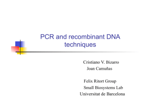 PCR and recombinant DNA techniques