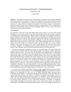 Cortical Neurons and Circuits: A Tutorial