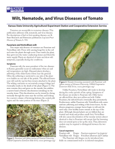 L723 Wilt, Nematode, and Virus Diseases of