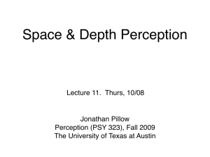 Sensation & Perception, 2e - The University of Texas at Austin