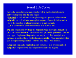 Sexual Life Cycles