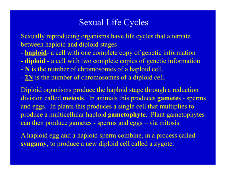 Sexual Life Cycles 5300