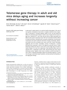 Telomerase gene therapy in adult and old mice delays