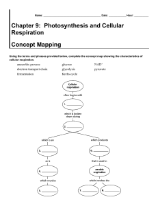Chapter 9: Photosynthesis and Cellular Respiration Concept Mapping
