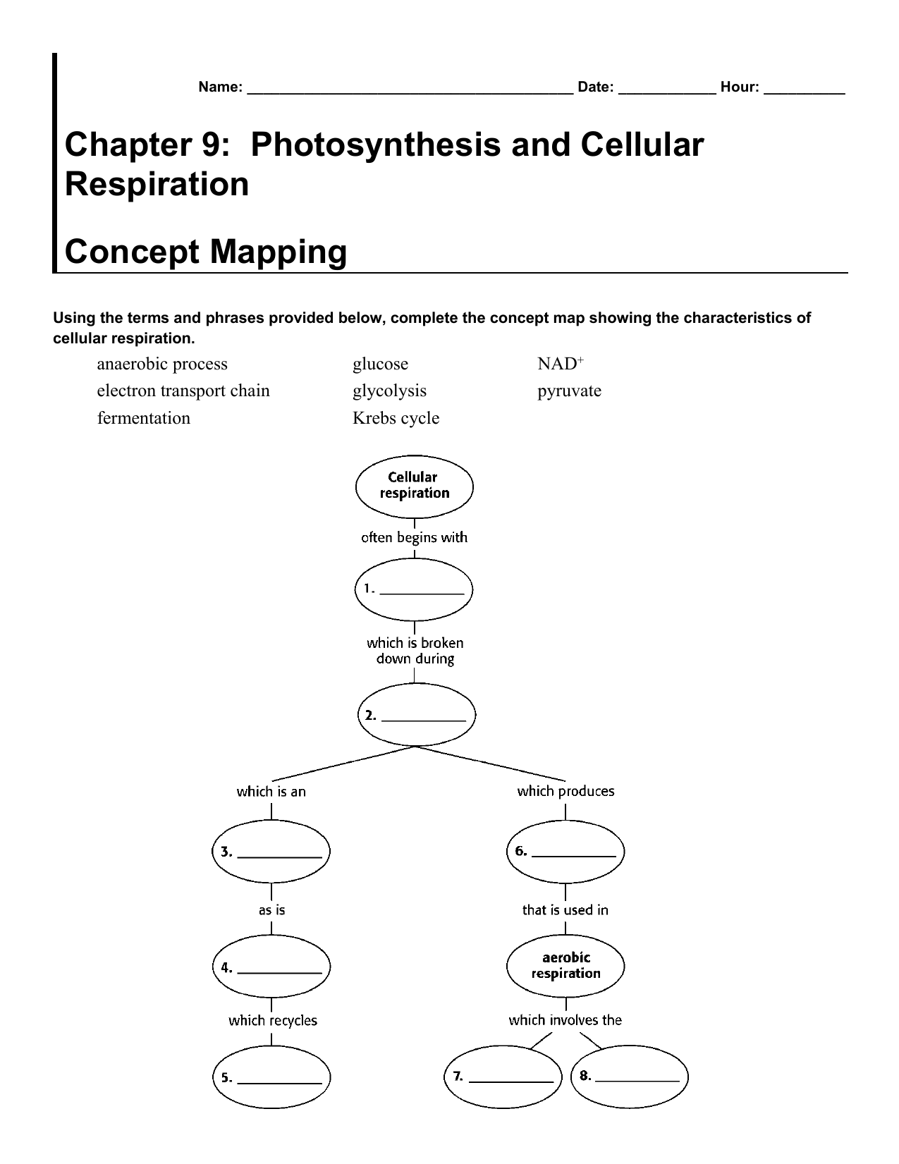 Chapter 9 Photosynthesis And Cellular Respiration Concept Mapping