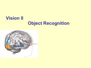 Chapter 6 Higher Perceptual Functions Second Edition Cognitive