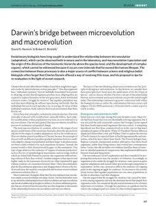 Darwin's bridge between microevolution and macroevolution