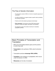 Basic Principles of Transcription and Translation