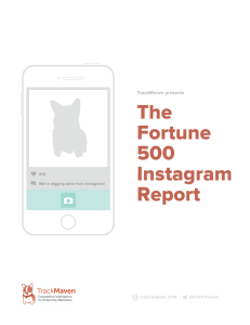 The Fortune 500 Instagram Report