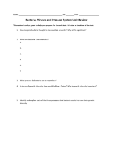 Bacteria, Viruses and Immune System Review Packet