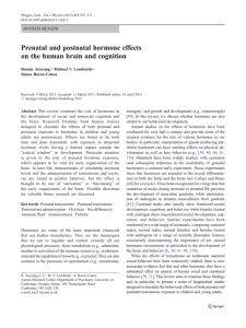 Prenatal and postnatal hormone effects on the human brain and