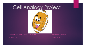 Cell Analogy Project - Watervliet City Schools