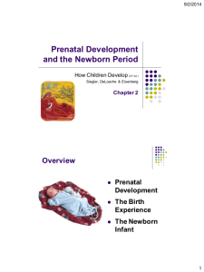 Class 4: Prenatal development