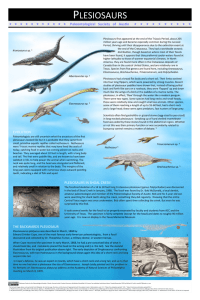 Paleontological Society of Auskn EVOLUTION THE