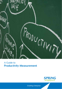 Productivity Measurement