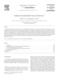 Cellular and multicellular form and function