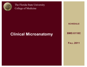 Schedule - Florida State University College of Medicine