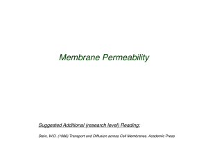 Membrane Permeability