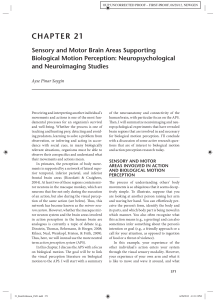 CHAPTER 21 Sensory and Motor Brain Areas Supporting Biological