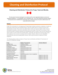 Cleaning and Disinfection Protocol