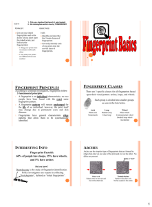 fingerprint principles fingerprint classes interesting info arches
